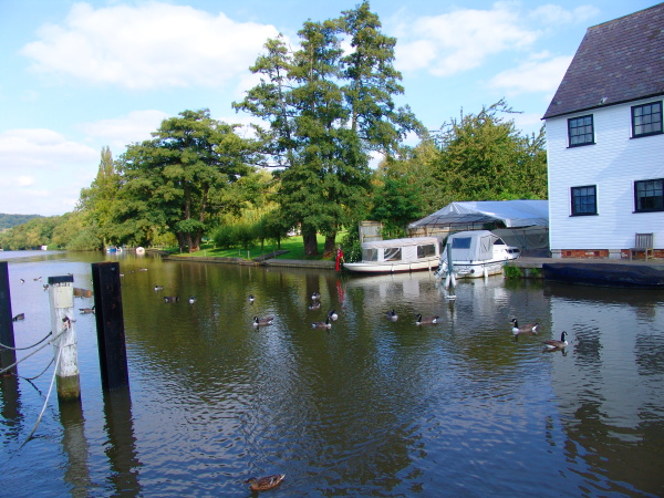 Hambleden Mill with Canadian ducks in front of it